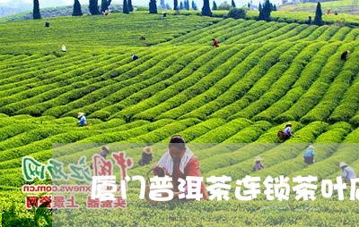 厦门普洱茶连锁茶叶店有几家/2023052789179