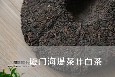 厦门海堤茶叶白茶/2023061536269