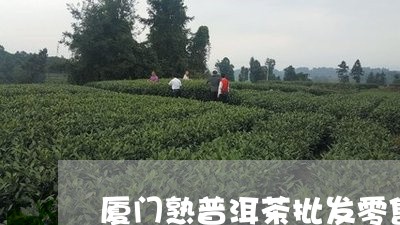 厦门熟普洱茶批发零售点/2023110529270