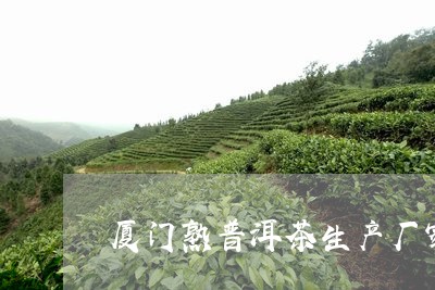 厦门熟普洱茶生产厂家电话/2023121595250