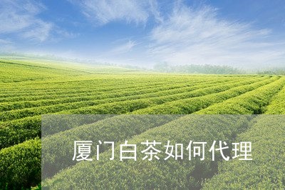 厦门白茶如何代理/2023061565169