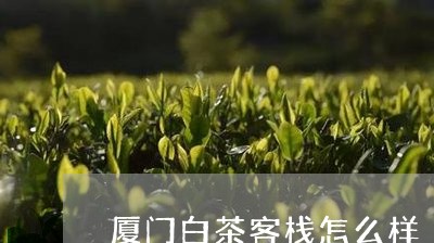 厦门白茶客栈怎么样/2023081384916