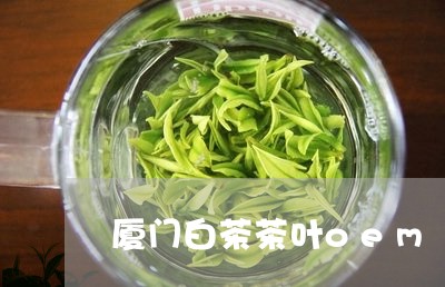 厦门白茶茶叶oem/2023081392060