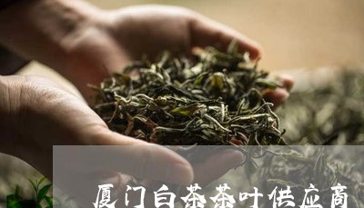 厦门白茶茶叶供应商/2023081384957