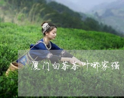 厦门白茶茶叶哪家强/2023121771814