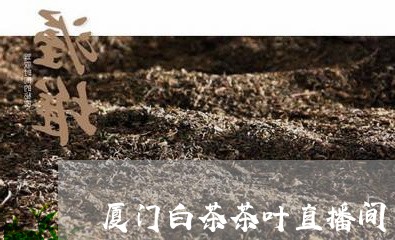 厦门白茶茶叶直播间/2023121778383