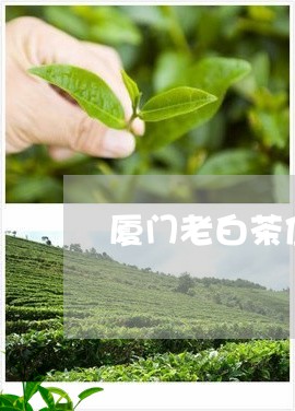 厦门老白茶值得推荐/2023073196948