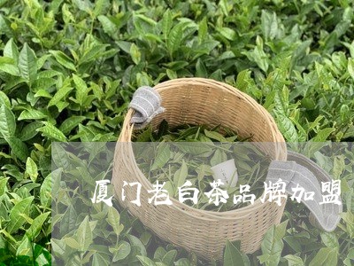 厦门老白茶品牌加盟/2023121751614