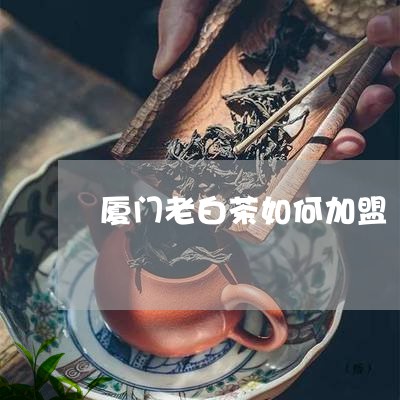 厦门老白茶如何加盟/2023071607381