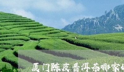 厦门陈皮普洱茶哪家好些/2023112710837