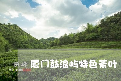 厦门鼓浪屿特色茶叶/2023042523147