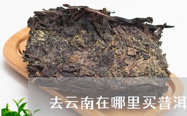 去云南在哪里买普洱茶最好/2023082766038