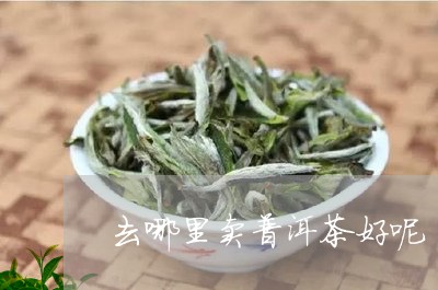 去哪里卖普洱茶好呢/2023082638370