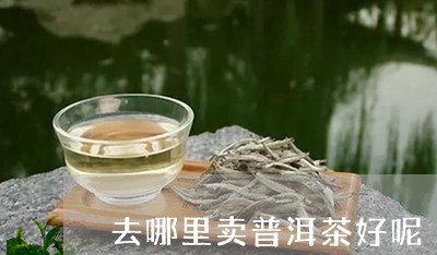 去哪里卖普洱茶好呢/2023110358725