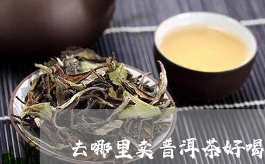 去哪里卖普洱茶好喝点的/2023121568371