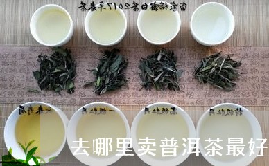 去哪里卖普洱茶最好卖最便宜/2023121566370