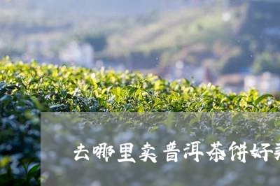 去哪里卖普洱茶饼好买些/2023082987270