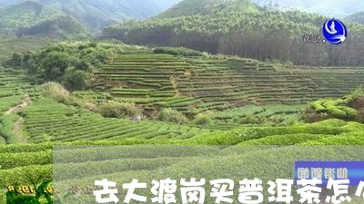 去大渡岗买普洱茶怎么不被坑/2023102591502