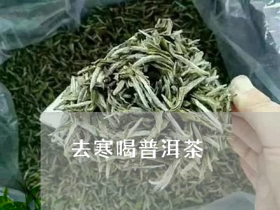 去寒喝普洱茶/2023042585208