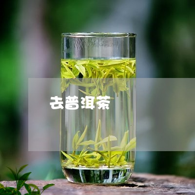 去普洱茶/2023121871715