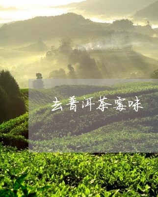 去普洱茶霉味/2023091308271