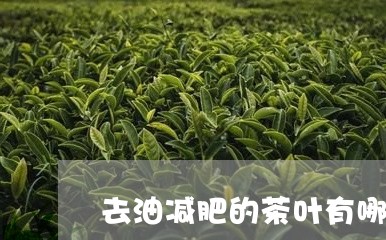 去油减肥的茶叶有哪些/2023092251584