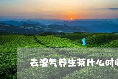 去湿气养生茶什么时间喝最佳/2023052615925