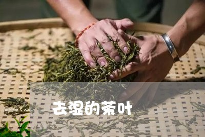 去湿的茶叶/2023041854019