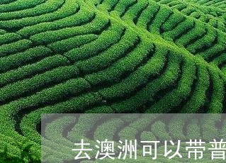 去澳洲可以带普洱茶吗/2023092803137