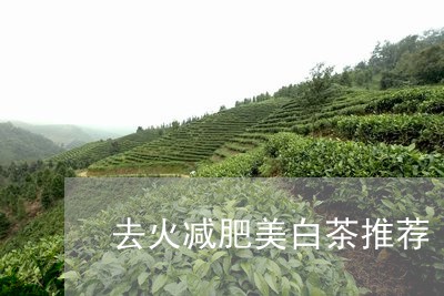 去火减肥美白茶推荐/2023071634036