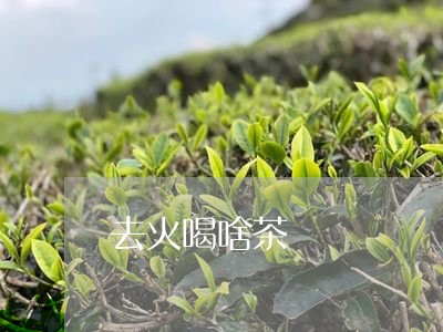 去火喝啥茶/2023090215736