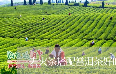 去火茶搭配普洱茶好吗女性/2023082849572