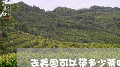 去美国可以带多少茶叶/2023061155058