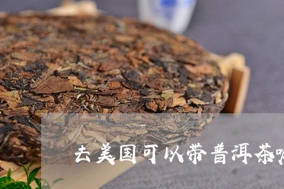 去美国可以带普洱茶嘛/2023120699504