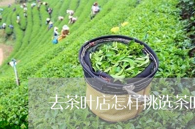 去茶叶店怎样挑选茶叶/2023092274836