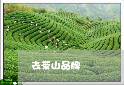 去茶山品牌/2023090273607