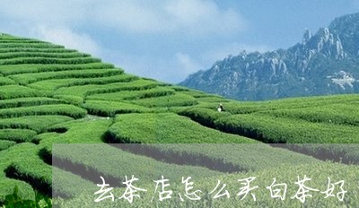 去茶店怎么买白茶好/2023071611805