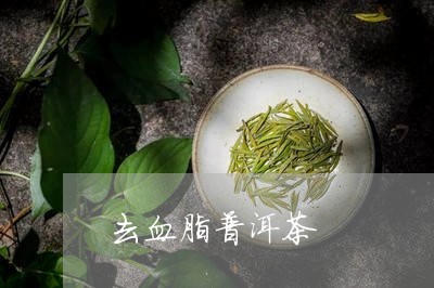 去血脂普洱茶/2023042817117