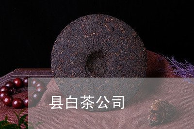 县白茶公司/2023052496270