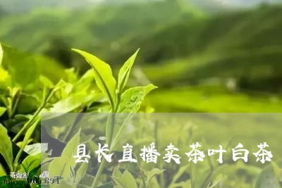 县长直播卖茶叶白茶/2023071639481