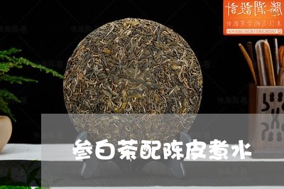 参白茶配陈皮煮水/2023121716250