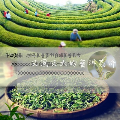 又圆又大的普洱茶饼/2023121562726