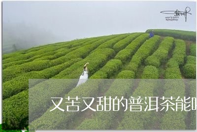 又苦又甜的普洱茶能喝吗/2023102524805