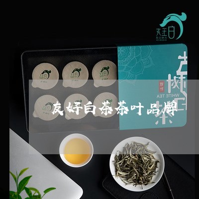 友好白茶茶叶品牌/2023061559282