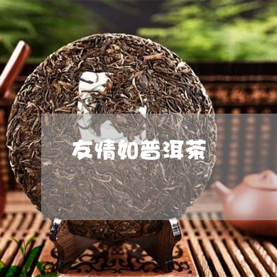 友情如普洱茶/2023091226048