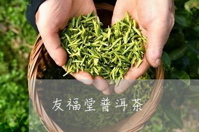 友福堂普洱茶/2023101615158