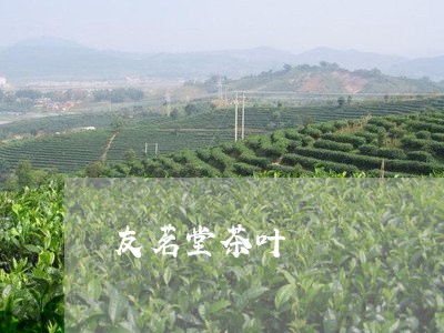 友茗堂茶叶/2023041775029