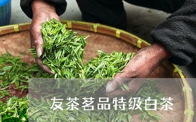 友茶茗品特级白茶/2023111559515