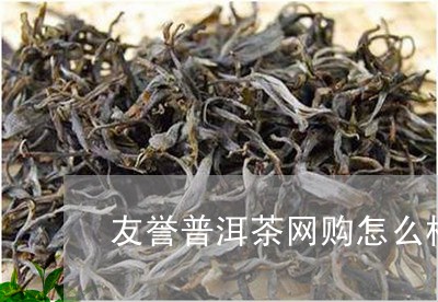 友誉普洱茶网购怎么样啊/2023081698702