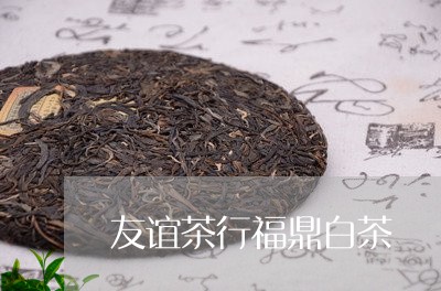 友谊茶行福鼎白茶/2023112686068